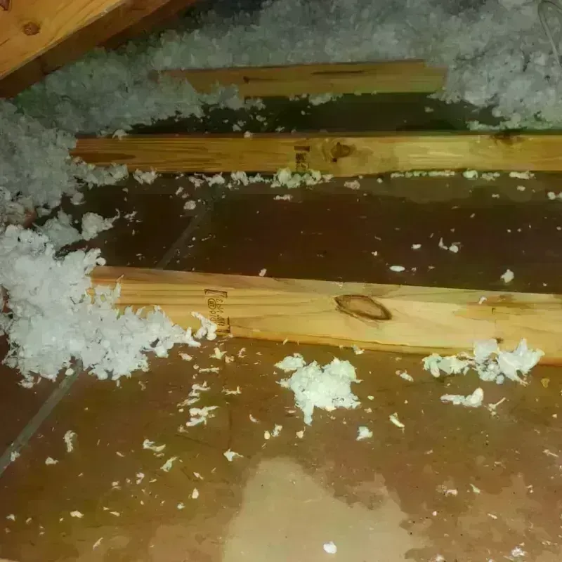 Attic Water Damage in Merced County, CA